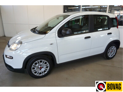 Fiat-Panda-0